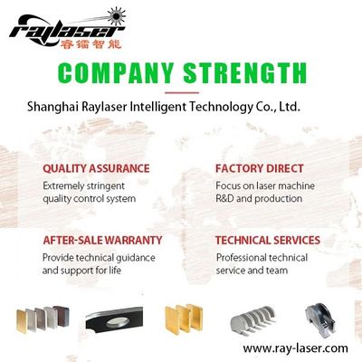 Raytools Laser Head Yaskawa Servo Motor Μεταλλική μηχανή κοπής λέιζερ για την επιχείρησή σας